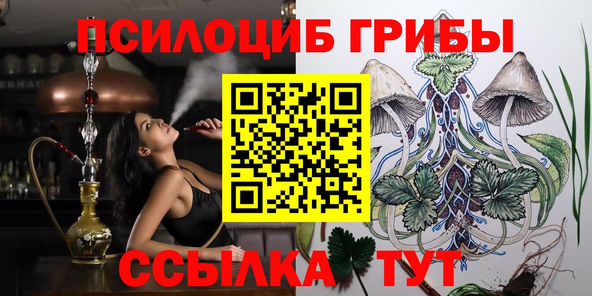 Ишимбай  Псилоцибиновые грибы мицелий  Вход с VPN 
